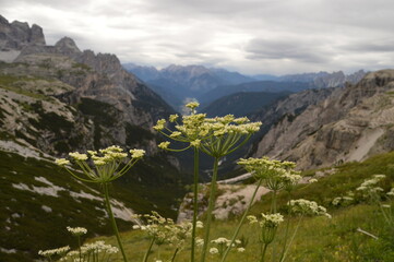 Fototapeta premium Hiking on the dramatic mountain ridges of Misurina and Drei Zinnen / Tre Cime di Lavaredo in the Dolomites, Northern Italy