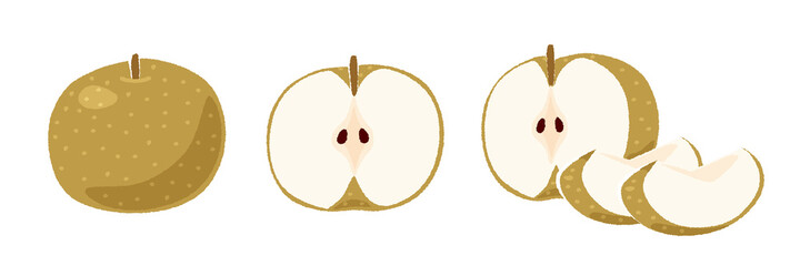 梨のイラスト