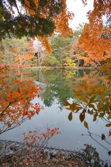 "Kumoba Pond". Autumn leaves that reflect on the pond. Japanese landscape. Beautiful autumn landscape.