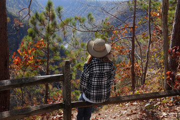 Grand Canyon of Pennsylvania, Pine Creek Gorge, Barbour Rock Trail