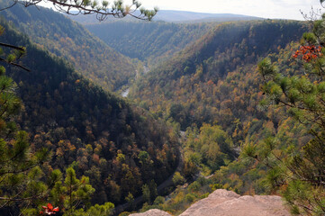 Grand Canyon of Pennsylvania, Pine Creek Gorge, Barbour Rock Trail