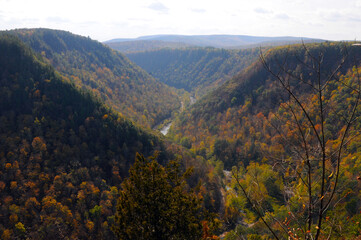 Grand Canyon of Pennsylvania, Pine Creek Gorge, Barbour Rock Trail