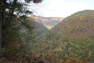 Grand Canyon of Pennsylvania, Pine Creek Gorge, Barbour Rock Trail