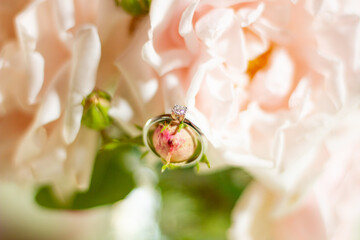 Anello di fidanzamento