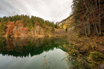 Lago di Tovel (Lake Tovel), Beautiful Alpine lake with forest in autumn, National Park of Adamello Brenta. Trentino Alto Adige, Trento province, Italy, Europe.