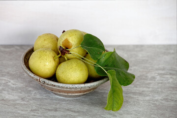 Bowl with Asian Pear Shinseiki (Pyrus pyrifolia). Fresh, tasty fruits from own garden.