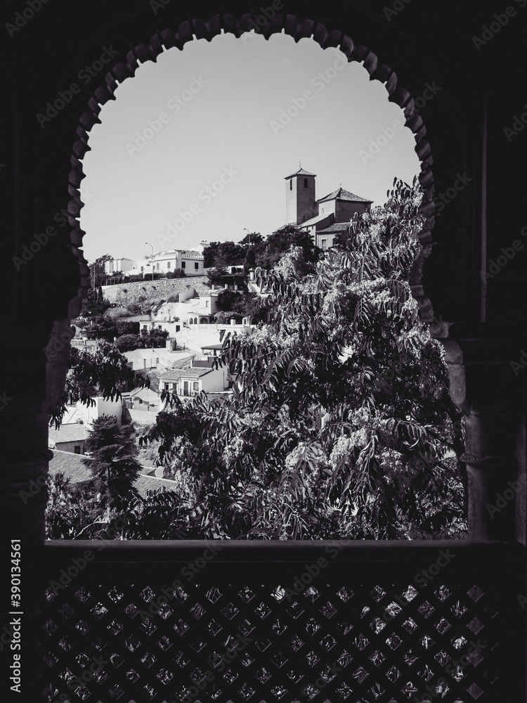 Wall mural Grayscale shot of beautiful Granada city in Spain