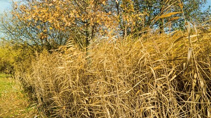 Fototapeta premium Landschaft im Kreis vom Kronsberg