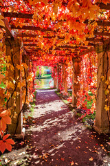 View through a colorful, vibrant pergola. Oranienbaum. Lomonosov. St. Petersburg. Russia