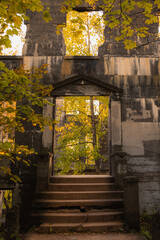Abandoned stone building in the wilderness getting taken over by vegetation. 