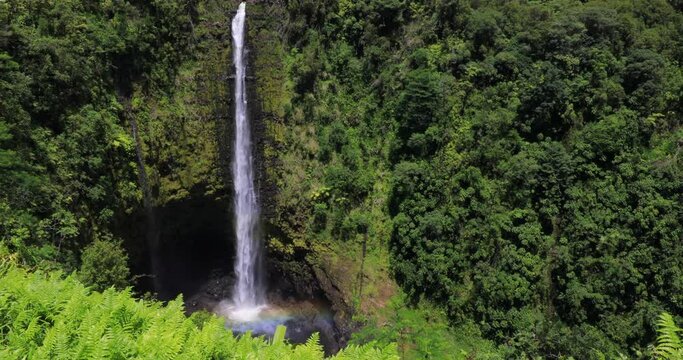 4k tilt pan bottom to top motion of Akaka Falls, Beautiful pristine nature landscape showing the famous 442 foot scenic waterfall,big island,Hawaii,USA