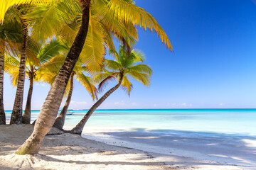 Summer vacation and tropical beach concept. Sandy beach with palms and turquoise sea. Vacation island.