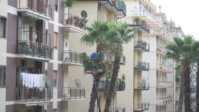 maintenance of the city green