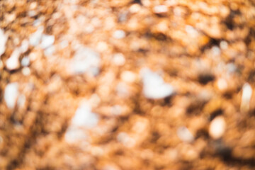 Defocused autumn leaves background composition. Beautiful orange autumn leaves as backdrop. Fall leaf. Flat lay, top view, copy space.