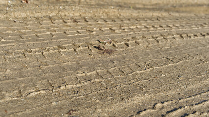 Muddy road with tyre tracks different tread patterns. Muddy wet track near a farm