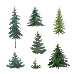 Obraz premium Watercolor vector set with green fir trees.