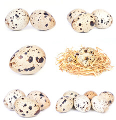 Obraz premium Quail eggs on white background