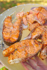 Grilled red fish trout steaks lie on a glass plate