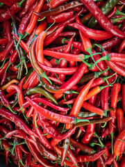 red hot chili peppers