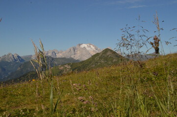 Hiking in the lush and dramatically beautiful Val di Fiemme and Passo Rollo in the Dolomites,...