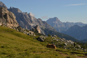 Hiking in the lush and dramatically beautiful Val di Fiemme and Passo Rollo in the Dolomites,...