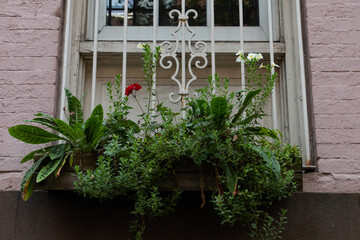Fototapeta na wymiar Window Sill Flower Box with Green Plants on an Old Pink Brick Building in New York City