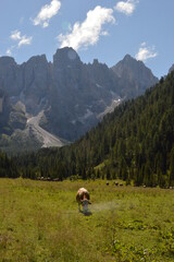 Hiking in the lush and dramatically beautiful Val di Fiemme and Passo Rollo in the Dolomites,...