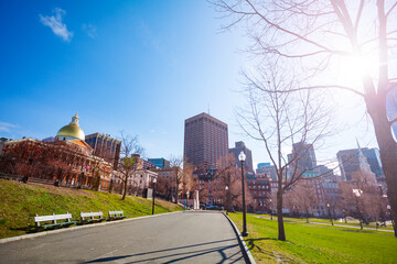 Fototapeta na wymiar Sacred Cod and panorama of Boston Common, central public park in downtown, Massachusetts, USA