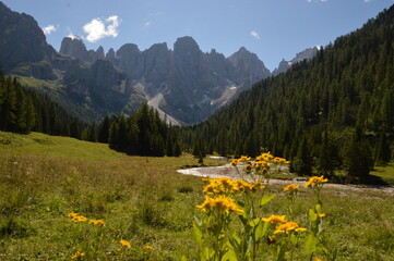 Hiking in the lush and dramatically beautiful Val di Fiemme and Passo Rollo in the Dolomites,...