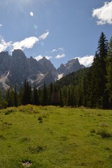 Fototapeta na wymiar Hiking in the lush and dramatically beautiful Val di Fiemme and Passo Rollo in the Dolomites, Northern Italy