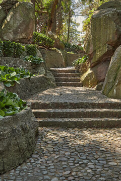 Escalinatas de piedra en un parque