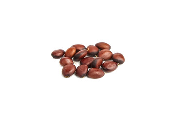 Dried carob seeds isolated on white background.