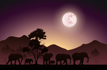 Fototapeta na wymiar Silhouette Of The Elephants That Walk At Night