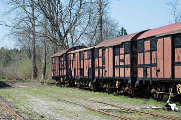 Wagons d'un train marron