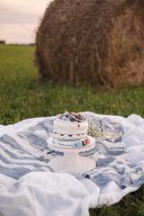 Pavlova cake with meringues, blueberries and figs in a field with wildflowers at sunset