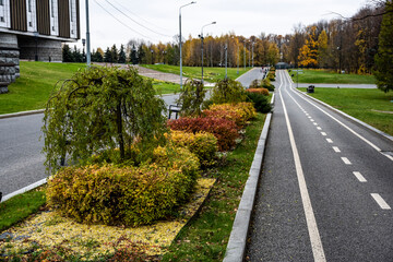 yellow leaves in the park on the ground and on benches