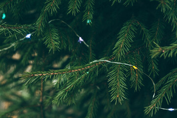 Christmas toys on a green background. Christmas tree branches. Background of the tree texture. The concept of a New year. Christmas, New year. Happy New Year. The concept of nature