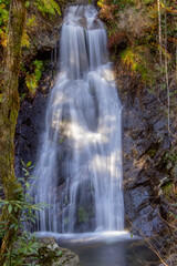 Fototapeta premium waterfal in forest, long exposure. fervenza do Pereiro, Poio, Pontevedra, Galicia, Spain