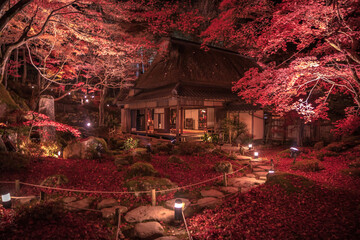 滋賀県 教林坊 紅葉 ライトアップ
