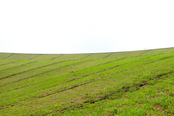 Beautiful meadow from the Banasura sagar dam in Western Ghats, Wayanad, Kerala