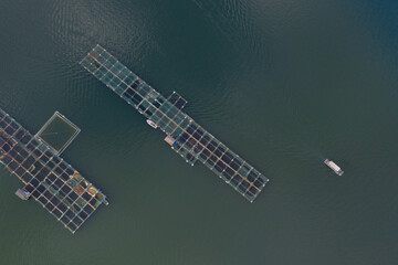 Aerial shot of freshwater farming in Chinese lakes in landscape top view