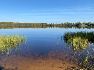 reflection of trees in water