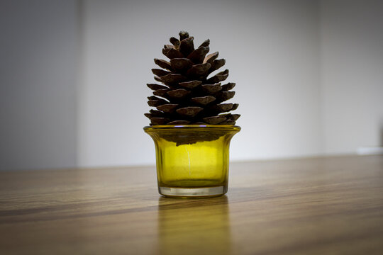 Pine cone in yellow glass container standing on wooden table.
