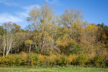 Fototapeta premium St Cécile Plage 27