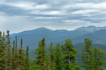 Summer forest landscape in the Sayan mountains. Nature Park Ergaki, Russia, Siberia. Scenic landscape with fog