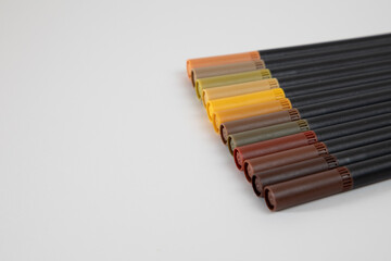 Browns. Color marker with double brush tip. Ideal for adult and children's coloring books, manga, comics, calligraphy. Autumn colors.