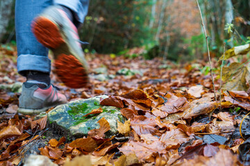 Obraz premium Donautal bei Beuron