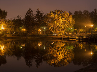 Fototapeta premium Reflection of trees at night. Evening view in the city park on the shore of the illuminated lake, reflected in the water