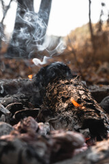 A small flame is barely visible in the dying fire. Light a fire in the woods. Smoldering wood in the fire, hot coals and a lot of smoke.