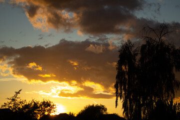 sunset in the forest